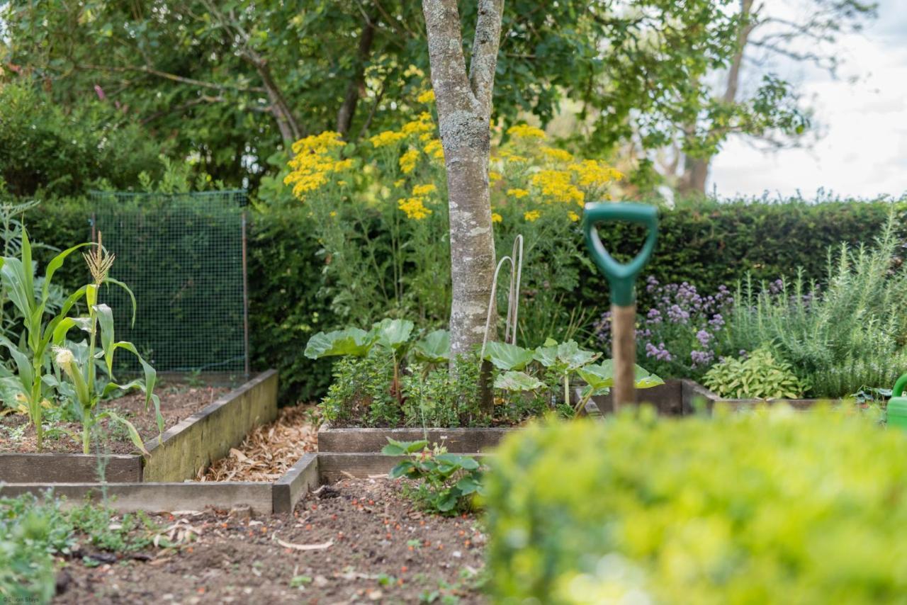 The Figgy By Bloom Stays Ashford  Exterior foto
