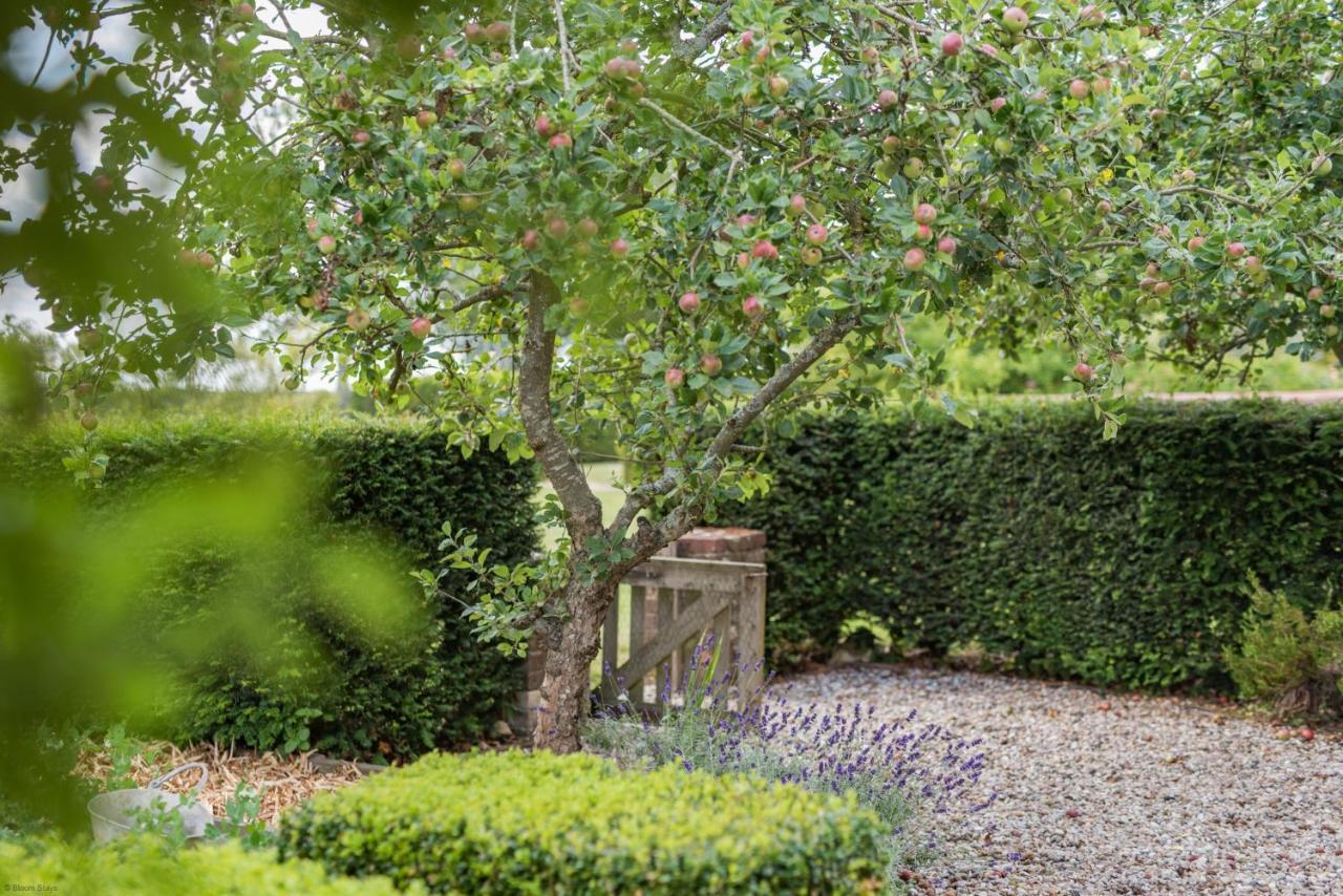 The Figgy By Bloom Stays Ashford  Exterior foto